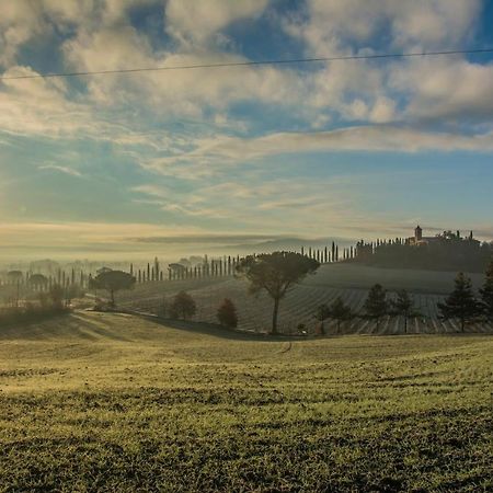 Pensjonat Agriturismo La Ripolina Buonconvento Zewnętrze zdjęcie