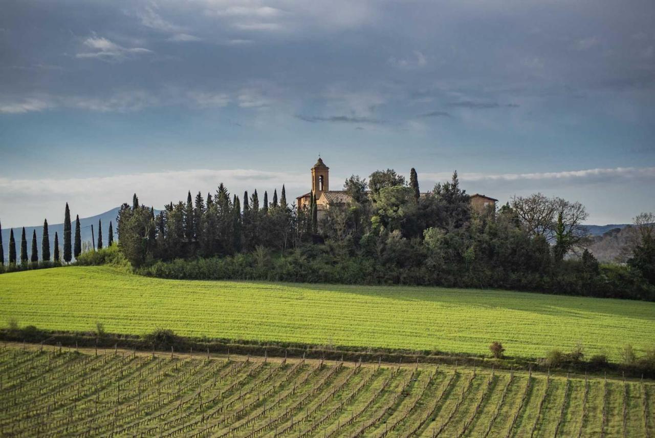 Pensjonat Agriturismo La Ripolina Buonconvento Zewnętrze zdjęcie