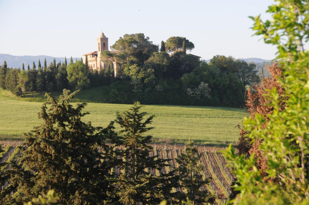 Pensjonat Agriturismo La Ripolina Buonconvento Zewnętrze zdjęcie