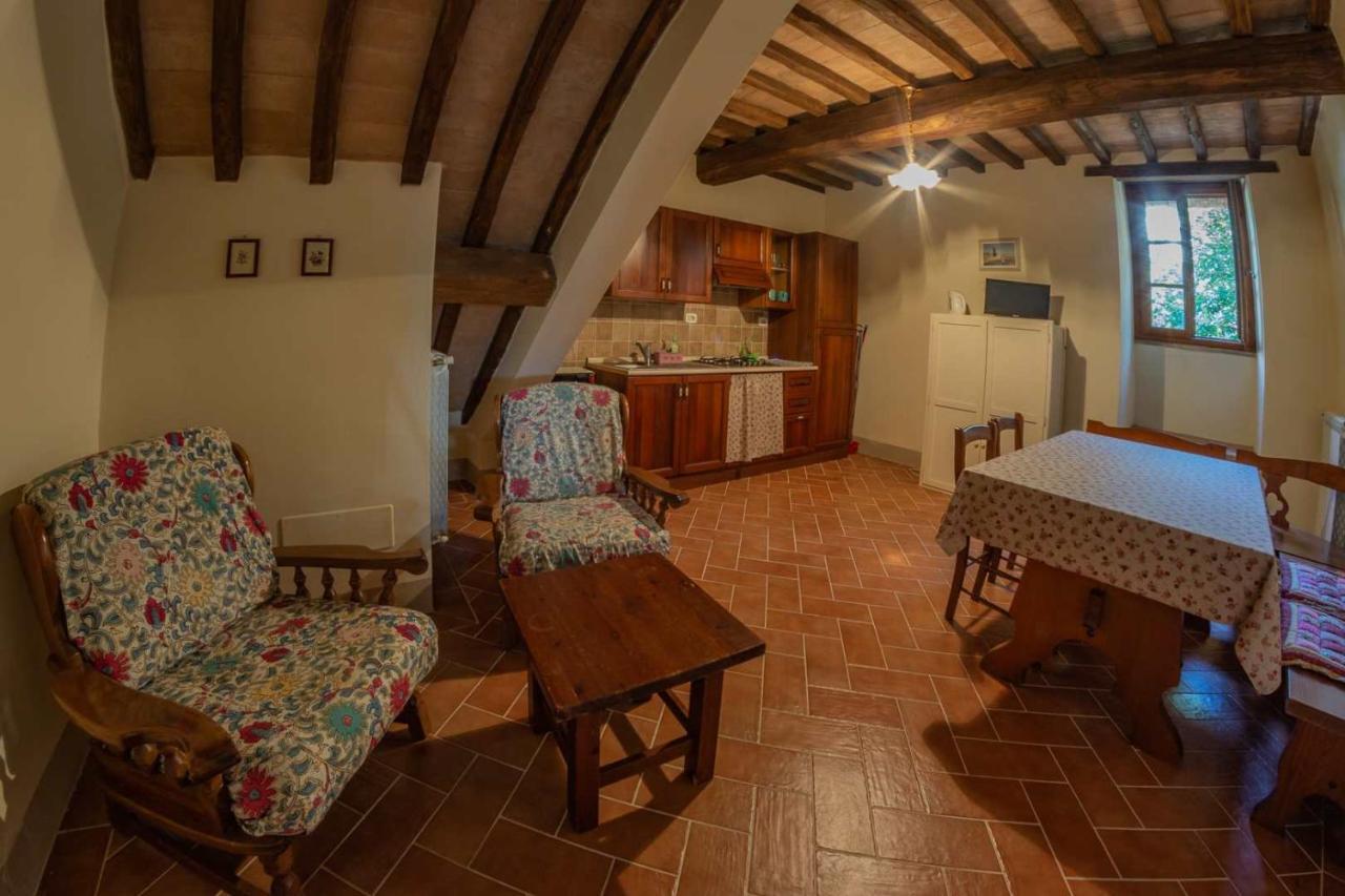 Pensjonat Agriturismo La Ripolina Buonconvento Zewnętrze zdjęcie