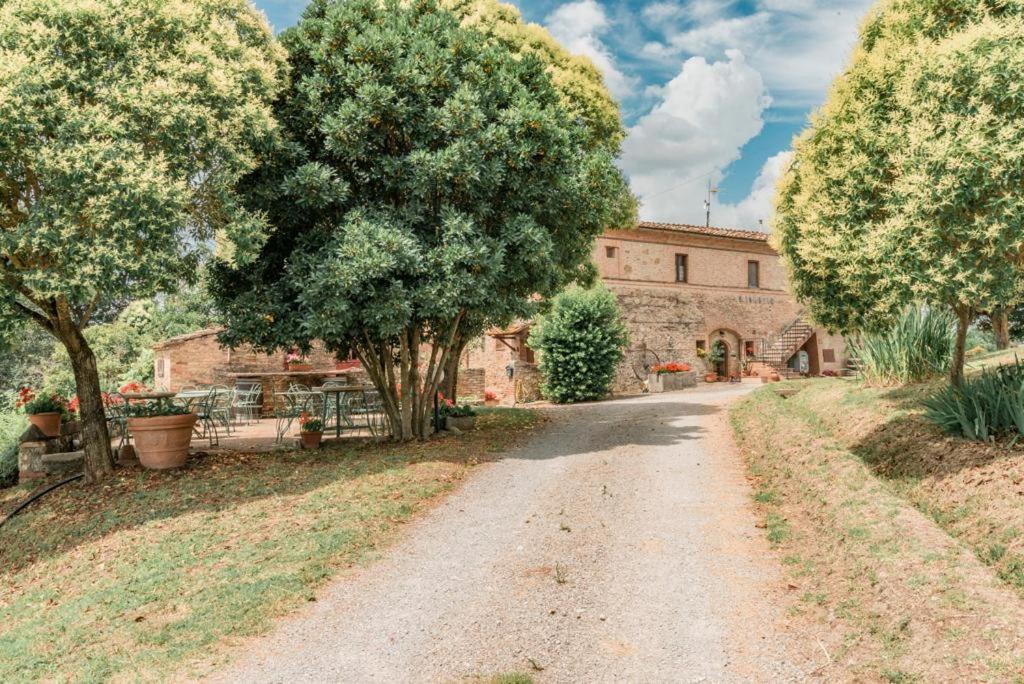 Pensjonat Agriturismo La Ripolina Buonconvento Zewnętrze zdjęcie