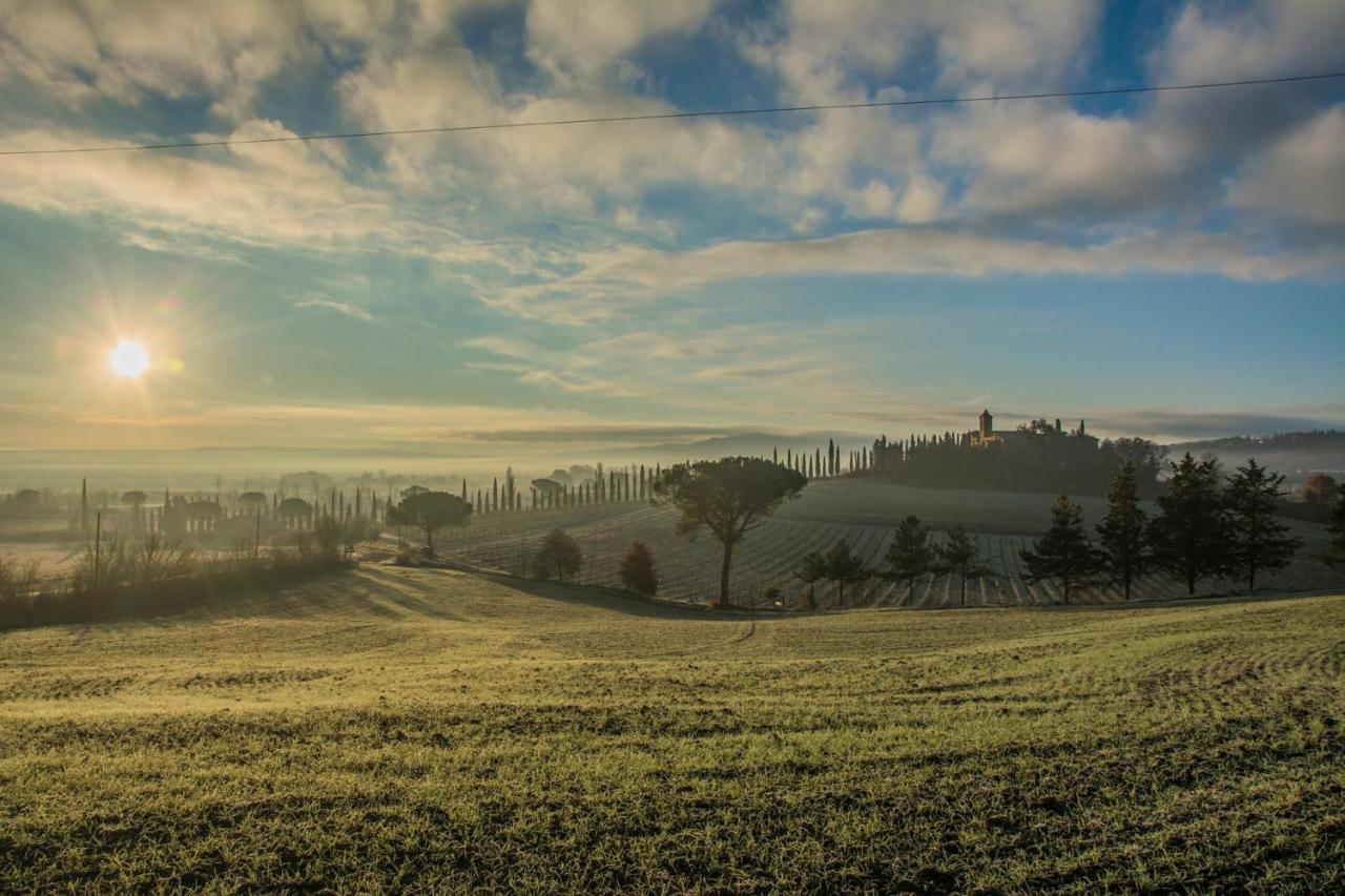 Pensjonat Agriturismo La Ripolina Buonconvento Zewnętrze zdjęcie