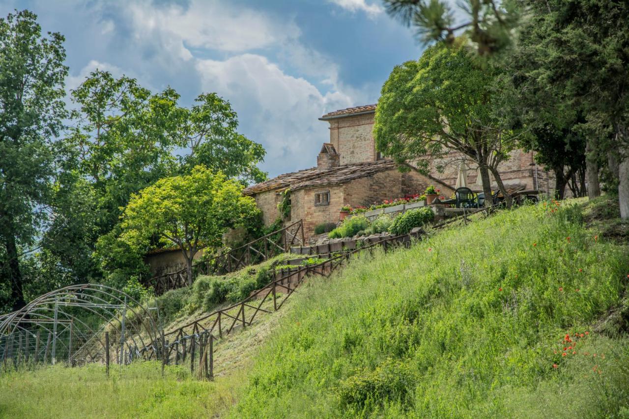 Pensjonat Agriturismo La Ripolina Buonconvento Zewnętrze zdjęcie