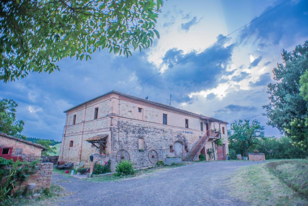 Pensjonat Agriturismo La Ripolina Buonconvento Zewnętrze zdjęcie