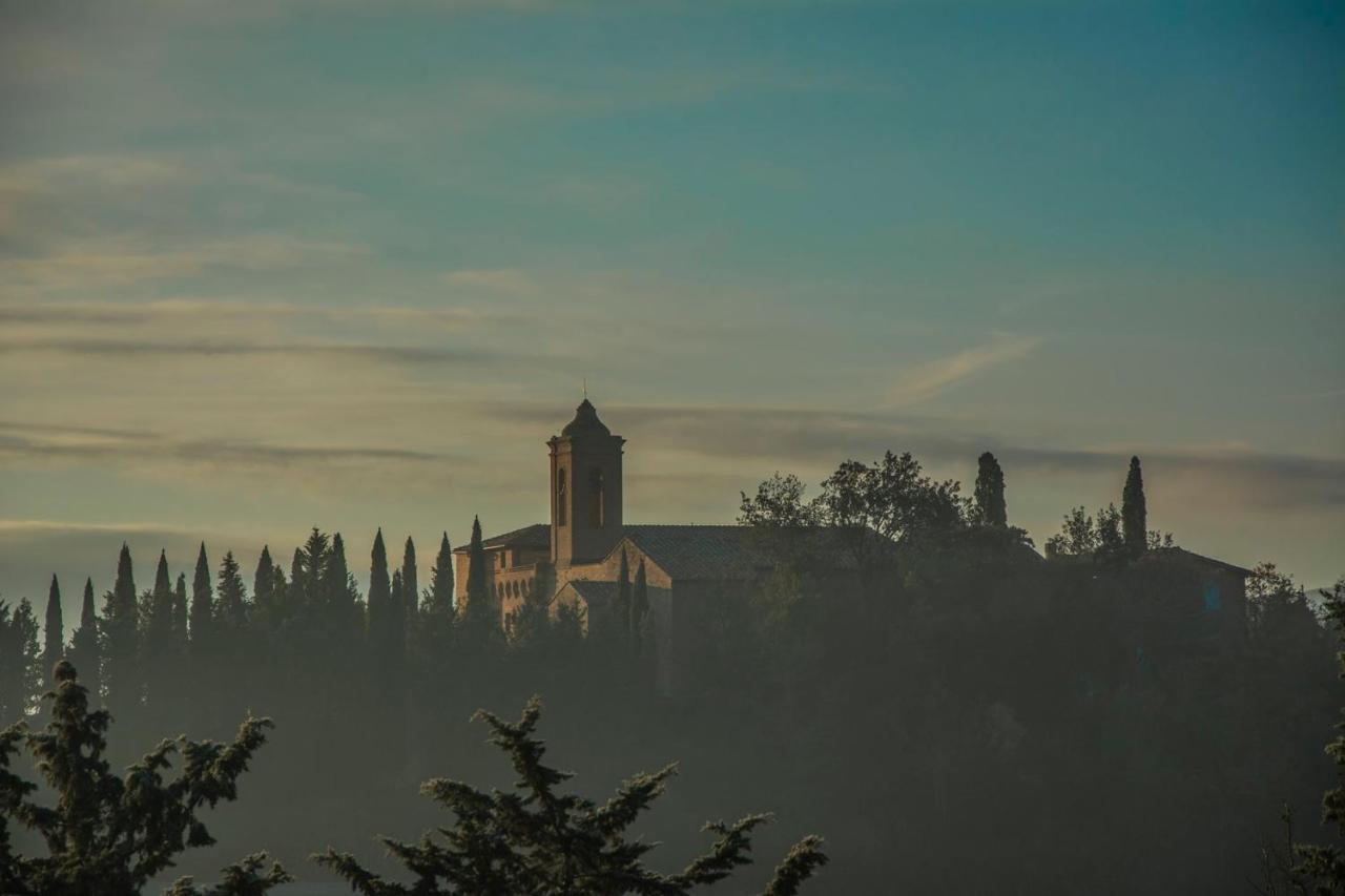 Pensjonat Agriturismo La Ripolina Buonconvento Zewnętrze zdjęcie