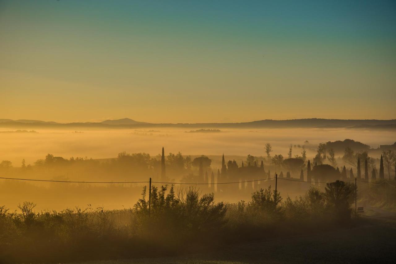 Pensjonat Agriturismo La Ripolina Buonconvento Zewnętrze zdjęcie