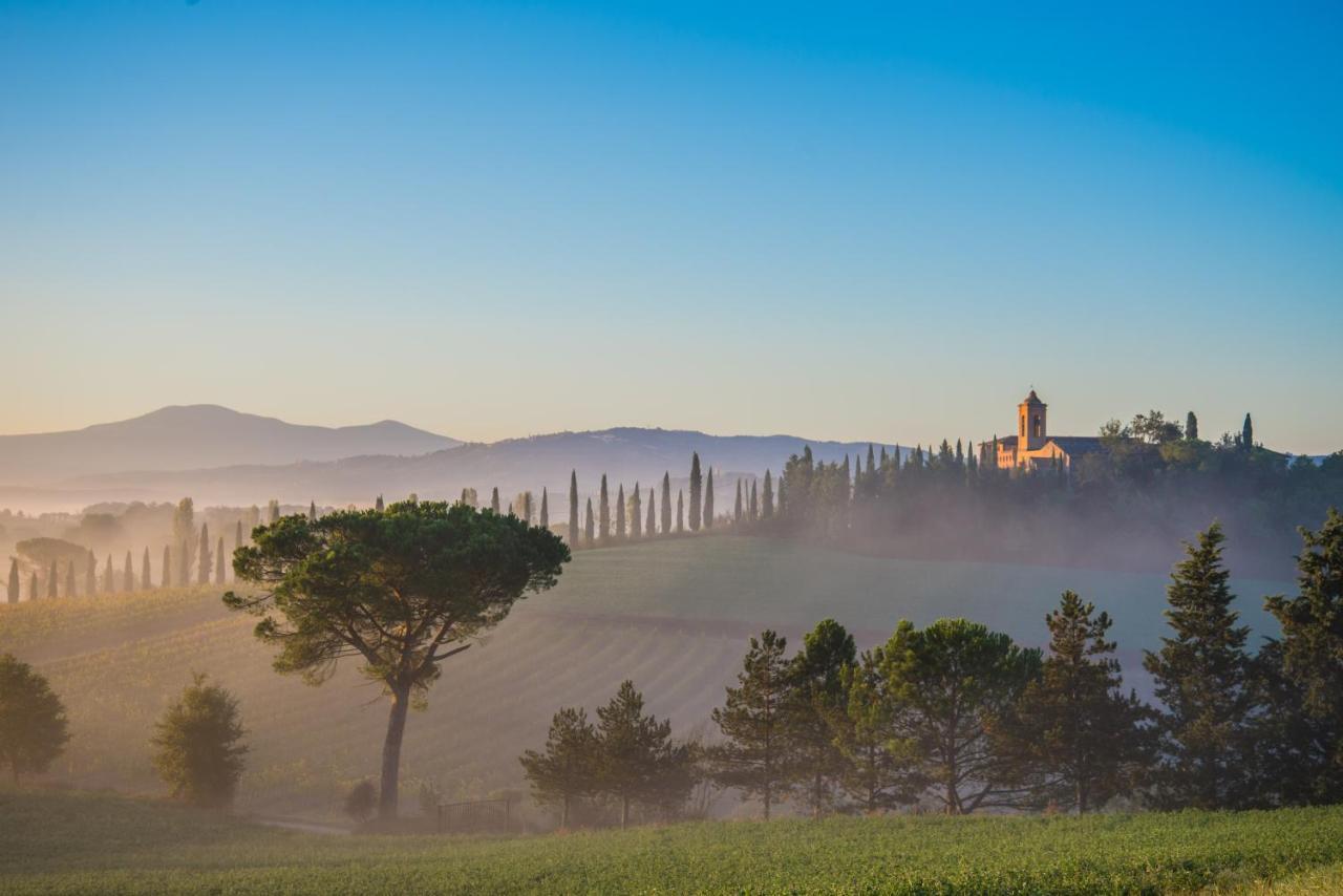 Pensjonat Agriturismo La Ripolina Buonconvento Zewnętrze zdjęcie