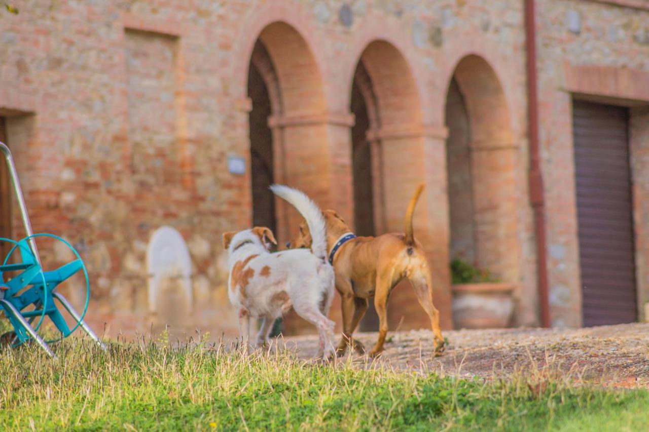 Pensjonat Agriturismo La Ripolina Buonconvento Zewnętrze zdjęcie