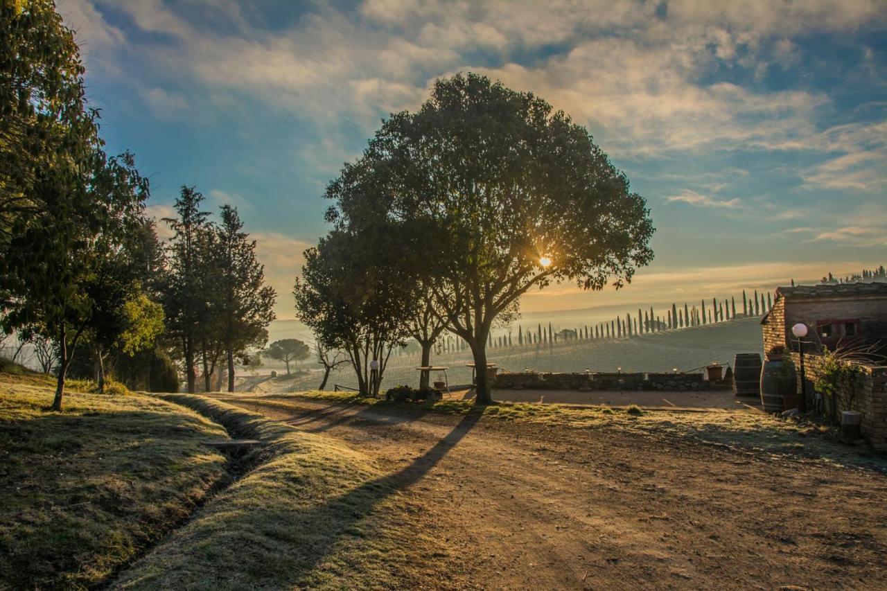 Pensjonat Agriturismo La Ripolina Buonconvento Zewnętrze zdjęcie