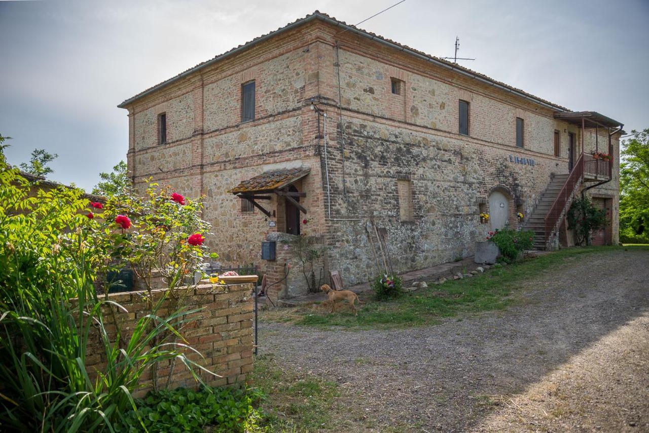 Pensjonat Agriturismo La Ripolina Buonconvento Zewnętrze zdjęcie